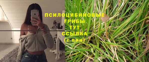 бутират Богородицк