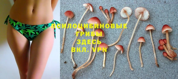 a pvp Белоозёрский
