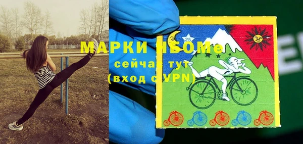 ECSTASY Белокуриха