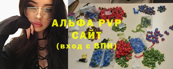 ECSTASY Белокуриха