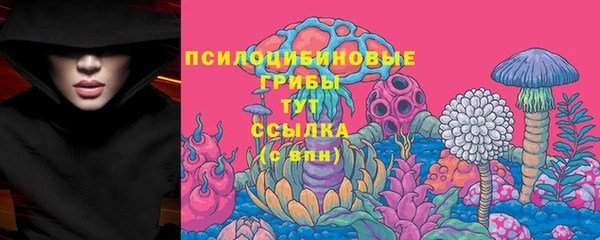ECSTASY Белокуриха