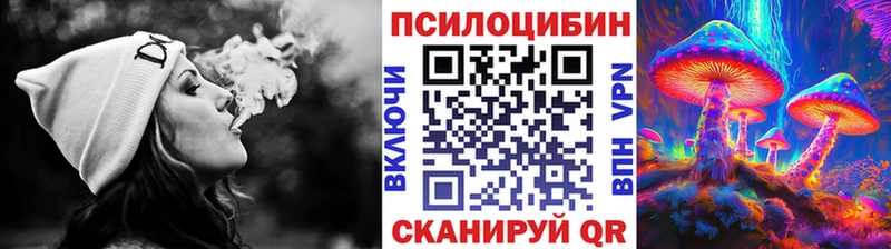 Псилоцибиновые грибы Psilocybine cubensis  купить   Сердобск 