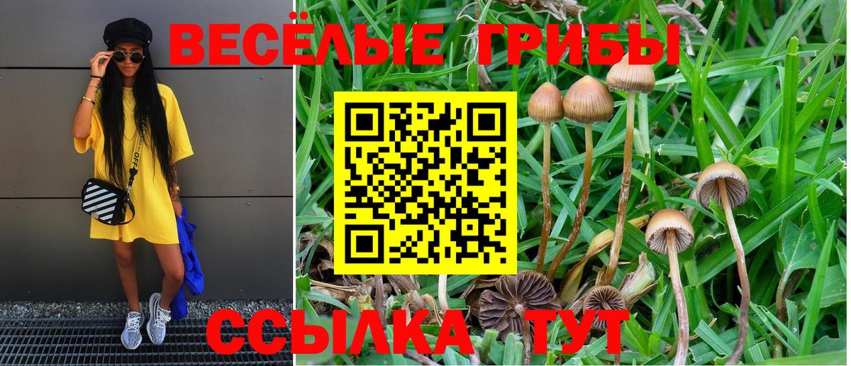 Галлюциногенные грибы мицелий  Вход с VPN  Сердобск 